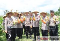Polres Blitar panen jagung Swasembada