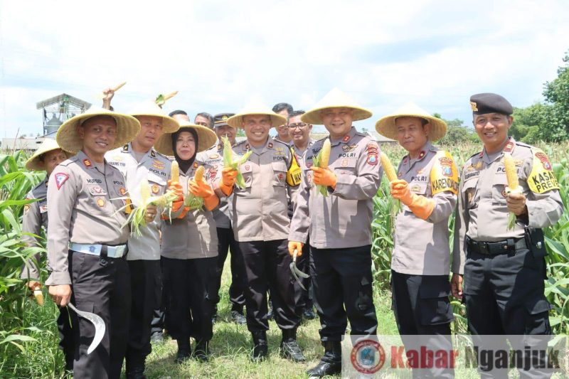 Polres Blitar panen jagung Swasembada