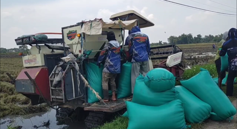 foto slider headline